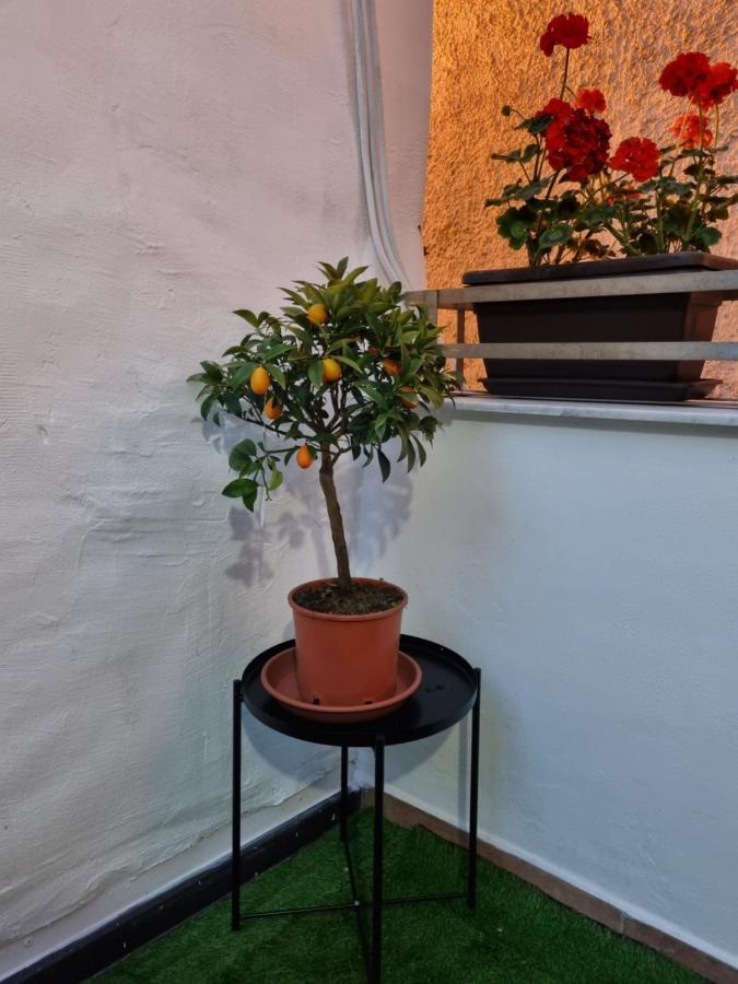 Giardino Moreno باليرمو المظهر الخارجي الصورة